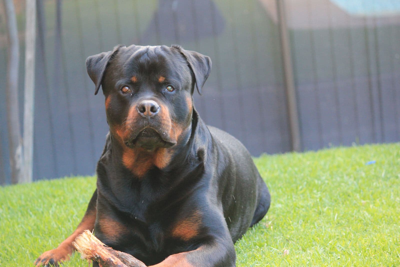 A photo of Titan